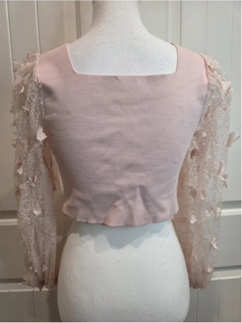 Free People Intimately Baby Pink Butterfly Lace Sleeve Crop Top Sz L Cottagecore